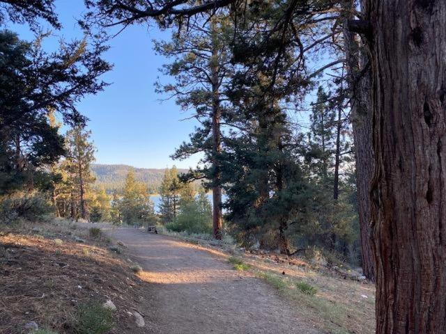 The Fox Paw Villa Big Bear Lake Eksteriør billede